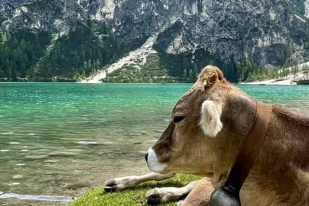 Relax Al Lago Di Braies Braies  Zewnętrze zdjęcie